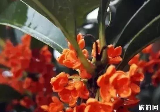 喀什兒童景點_喀什兒童景點_喀什兒童景點