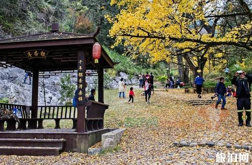 喀什適合兒童的餐廳_喀什適合嬰兒的餐廳_喀什適合兒童用餐的餐廳