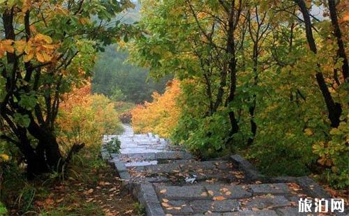 天津各景區(qū)推出多項(xiàng)活動(dòng) 滿足市民文化旅游需?