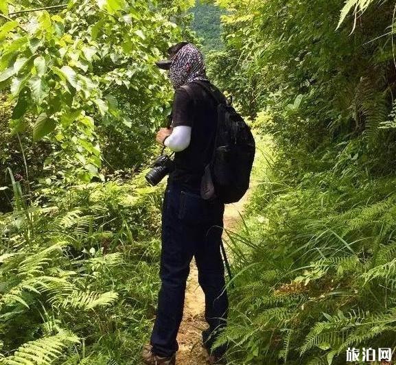 宜賓適合徒步的地方_宜賓適合徒步的路線_宜賓適合徒步的景點(diǎn)
