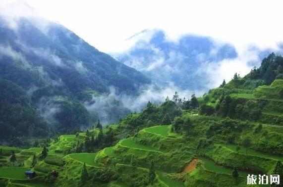 雅安生日派對場所_雅安生日派對餐廳_雅安生日派對場?