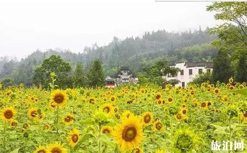 涼山至芽莊旅游策略_行程_景點(diǎn)推薦