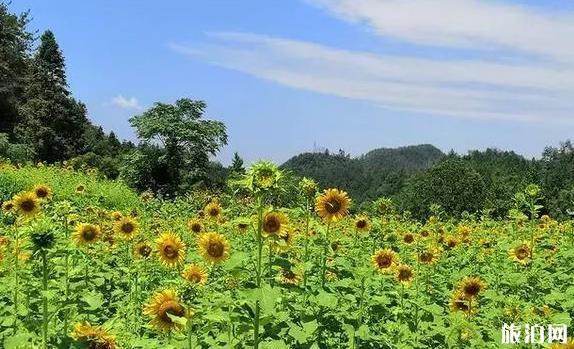 涼山到歐洲旅游指南_行程表_景點(diǎn)推薦