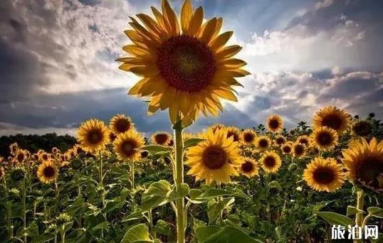 中秋節(jié)推薦去河池嗎_河池中秋天氣_河池中秋穿衣指南