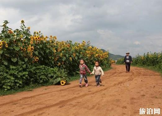 國慶防城港穿衣指南_國慶去防城港當(dāng)月天氣_國慶去防城港注意事項(xiàng)