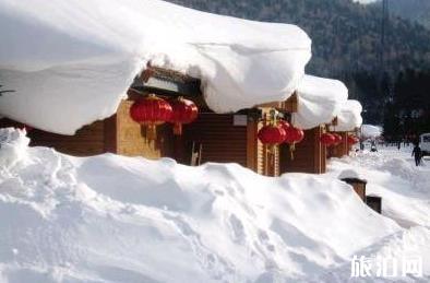 秋天去紅樹林旅游必備物品？你帶了什么？