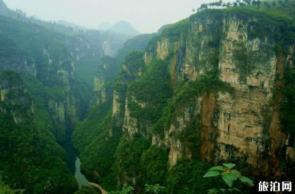 荊門哪里適合求婚_荊門哪里適合求婚_荊門哪里適合求婚