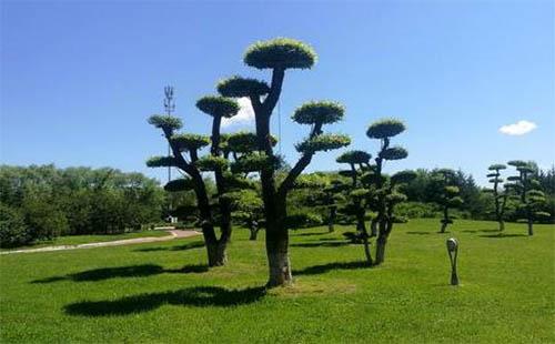 國家風(fēng)景游樂園門票團(tuán)購？票價？門票類型