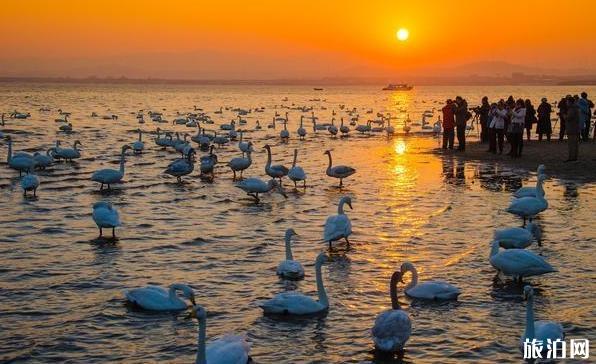 山東國慶假期* *天游客爆滿 很受歡迎