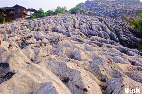 丹東值得一游的寺廟_丹東*有價值的寺廟_丹東香火寺廟* *