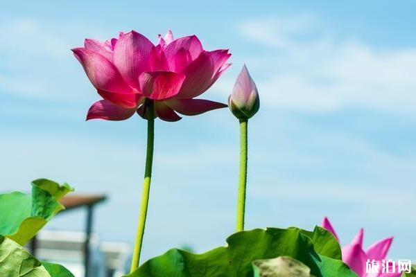 鞍山哪里買衣服_鞍山哪里買衣服_鞍山買衣服的好地方