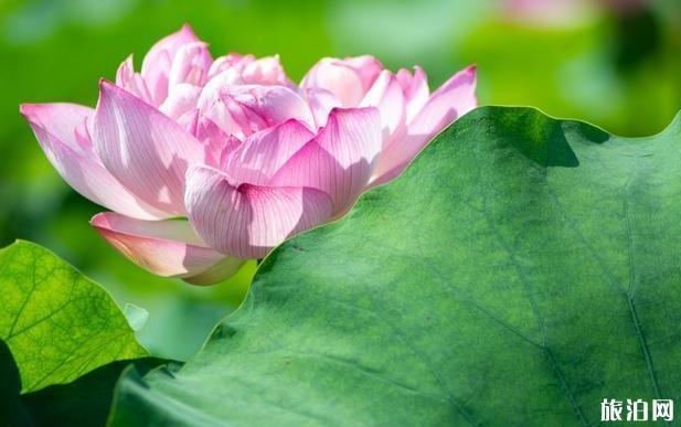 沈陽到香沙灣公路旅行路線_行程_景點(diǎn)推薦