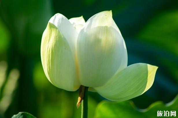 從沈陽到席暉公園的公路旅行路線_行程_景點(diǎn)推薦