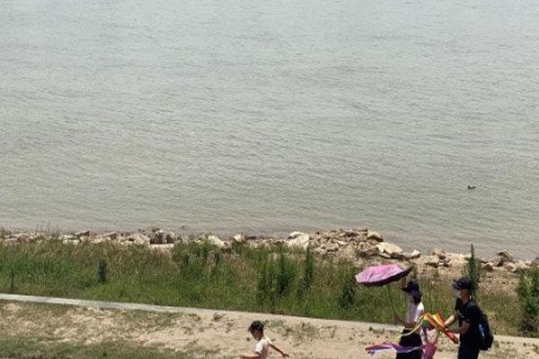 從白山怎么去長白山看天鵝？