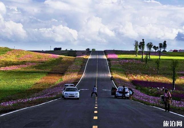 江西明月山* *旅行時間？去哪個月合適？