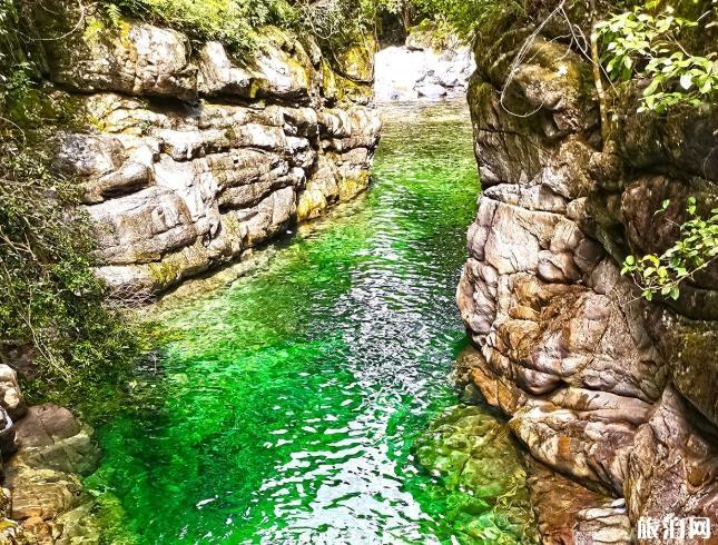 春天去萍鄉(xiāng)怎么樣_春天去萍鄉(xiāng)怎么樣_春天去萍鄉(xiāng)好玩嗎？