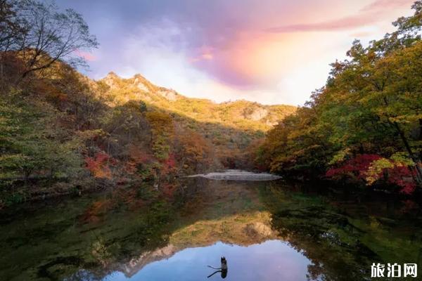 勞動節(jié)參觀景德鎮(zhèn)必備物品_勞動節(jié)參觀景德鎮(zhèn)需要帶什么？