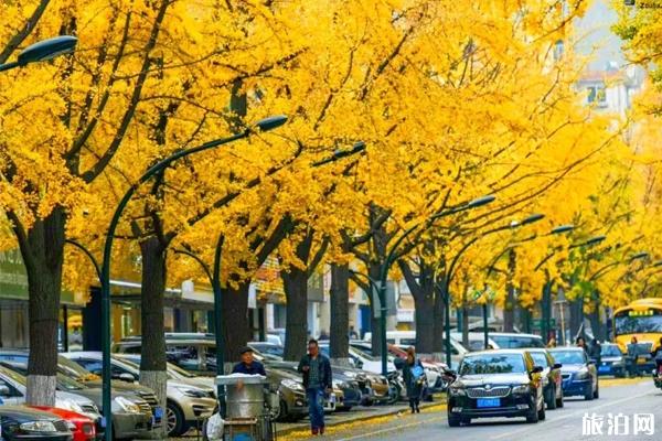 本月夏季天氣去景德鎮(zhèn)旅游_夏季景德鎮(zhèn)旅游著裝指南_夏季景德鎮(zhèn)旅游景點推薦