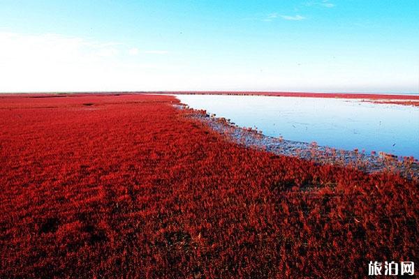 吉安兒童景點(diǎn)_吉安兒童景點(diǎn)_吉安兒童景點(diǎn)