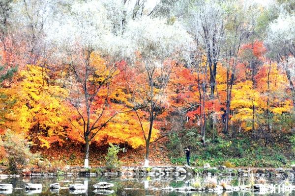 三月江西附近看桃花的地方_三月江西桃花節(jié)_三月江西看桃花的好地方
