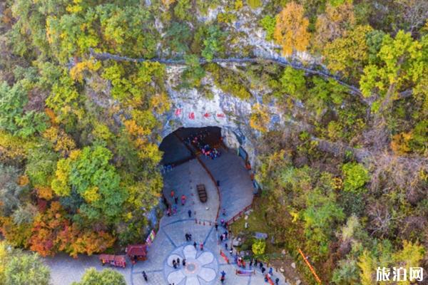三月江西附近看梅花的地方_三月江西梅花節(jié)_三月江西看梅花的好地方