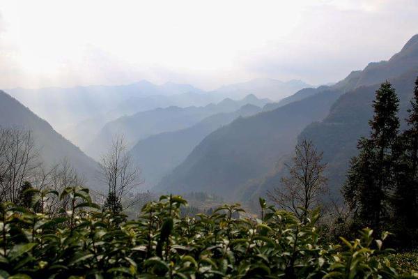 蘇州到仙都走公路旅行路線(xiàn)_行程表_景點(diǎn)推薦