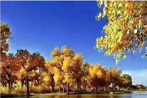 連云港不容錯(cuò)過(guò)的風(fēng)景_連云港周邊* *景點(diǎn)_連云港推薦景點(diǎn)