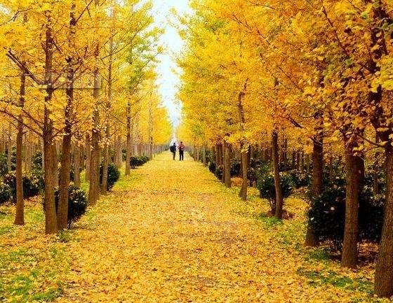 國慶節(jié)去淮安怎么樣_國慶節(jié)去淮安怎么樣_國慶節(jié)去淮安好玩嗎？