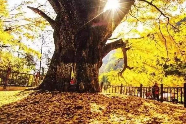 淮安有哪些好玩的地方_淮安娛樂推薦