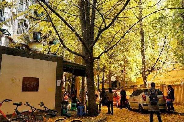 溧陽(yáng)住宿攻略_一晚多少錢(qián)_酒店推薦