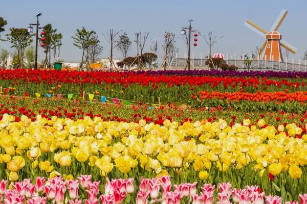 鹽湖城住宿策略_一晚多少錢(qián)_酒店推薦