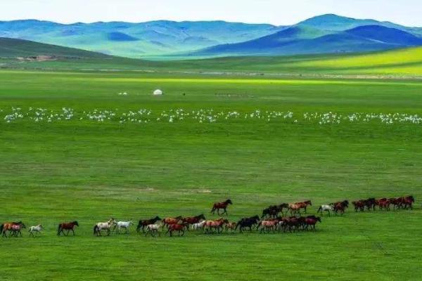 四月游岳陽必備物品_四月游岳陽需要帶什么_四月游岳陽需要準(zhǔn)備什么？