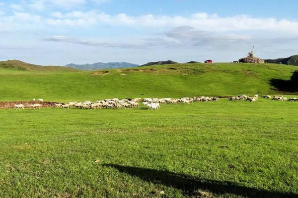 冬天去岳陽樓必備物品_冬天去岳陽樓需要帶什么東西_冬天去岳陽樓旅行準(zhǔn)備什么？