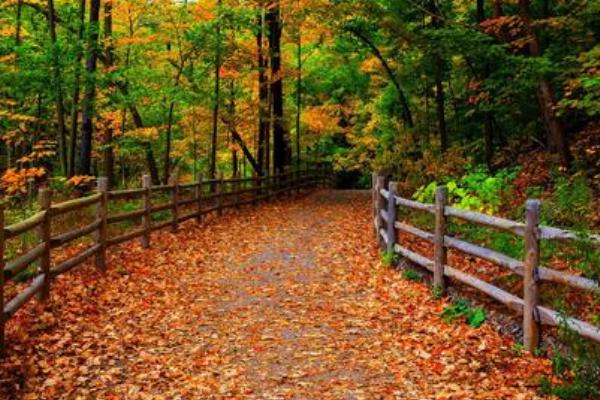 益陽攀巖的地方在哪里_益陽最好的攀巖場(chǎng)地是哪_益陽攀巖俱樂部