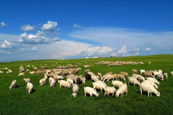 中秋游婁底必備物品_中秋游婁底旅游景點推薦_中秋游婁底旅游餐廳推薦