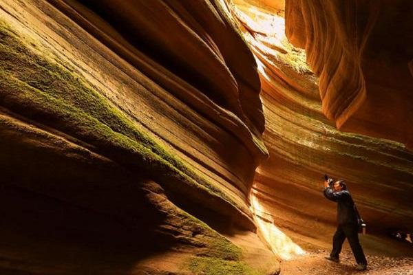 懷化有哪些寺廟_懷化有哪些寺廟尋求孩子的功效_懷化有哪些寺廟尋求婚姻*精神？