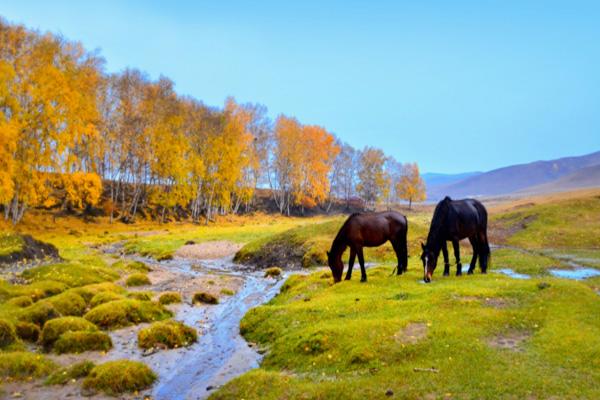 從長沙到西湖的路線自駕游_行程表_景點推薦