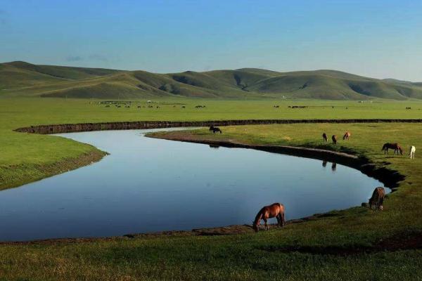荊門有哪些寺廟_荊門哪座寺廟求孩子功效_荊門哪座寺廟求婚姻*精神？