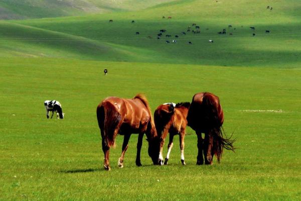 荊門攀巖的地方在哪里_荊門最好的攀巖場地是哪_荊門攀巖俱樂部？