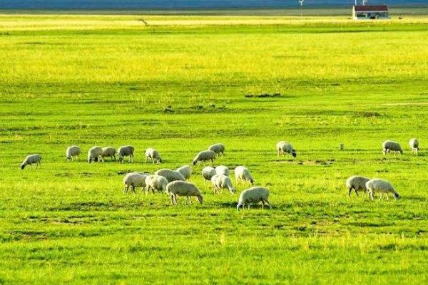 端午節(jié)到隨州穿衣指南_端午節(jié)到隨州穿什么衣服_端午節(jié)到隨州天氣溫度