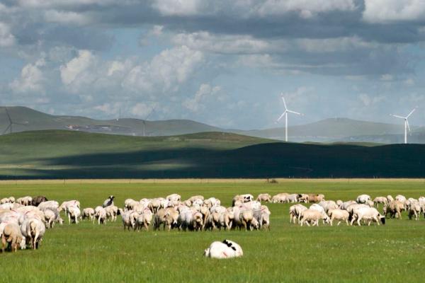 勞動節(jié)去隨州怎么樣_勞動節(jié)去隨州怎么樣_勞動節(jié)去隨州好玩嗎？