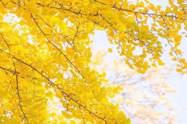 十堰適合徒步的地方_十堰適合徒步的路線_十堰適合徒步的路線