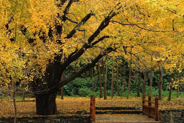 武漢到西湖的路線走公路旅行_行程安排_(tái)景點(diǎn)推薦