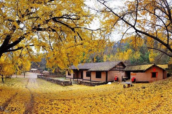 武漢到武當(dāng)山走公路旅行路線_行程表_景點(diǎn)推薦