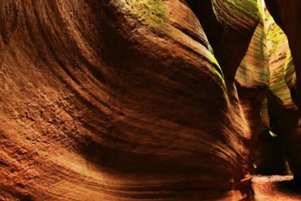 春節(jié)駐馬店穿衣指南_春節(jié)駐馬店穿什么衣服_春節(jié)駐馬店天氣溫度