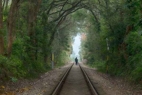 駐馬店夏季旅游美食推薦_駐馬店夏季旅游穿衣指南_駐馬店夏季旅游天氣