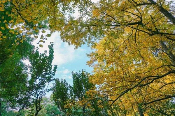 周口是4歲寶寶玩耍的地方_周口是4歲寶寶玩耍的地方_寶寶玩耍的地方