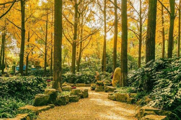 周口是2歲寶寶玩耍的地方_周口是2歲寶寶玩耍的地方_寶寶玩耍的地方