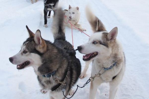 國慶去信陽旅游必備物品？你帶了什么？