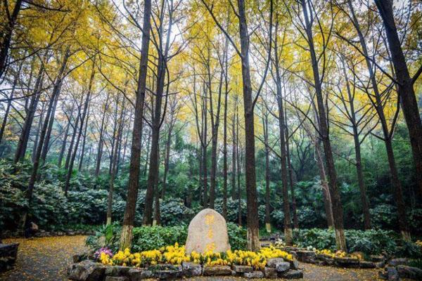 國(guó)慶去平頂山旅游必備物品？你帶了什么？